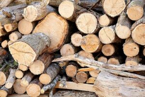 supplier kayu lokal, suplier kayu, toko kayu, jual kayu