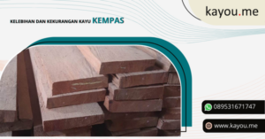 Segala Hal yang Perlu Diketahui tentang Kayu Kempas