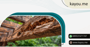 Rayap Hancurkan Pergola 6 Langkah Penyelesaian Instan! 🐜